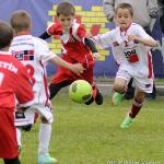 Foto: Werner Ullmann